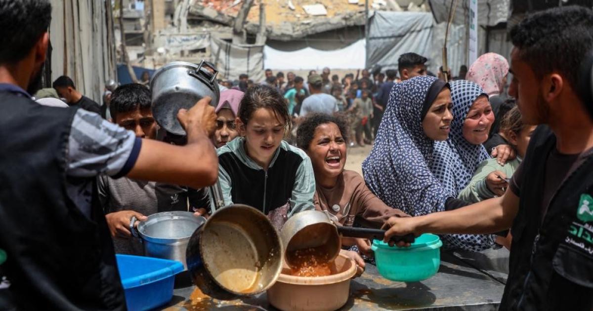 غزة بلا أضاحٍ للعام الثالث: الغرفة التجارية تحذر من انهيار الثروة الحيوانية وتحول أزمة المعابر إلى تهديد للأمن الغذائي