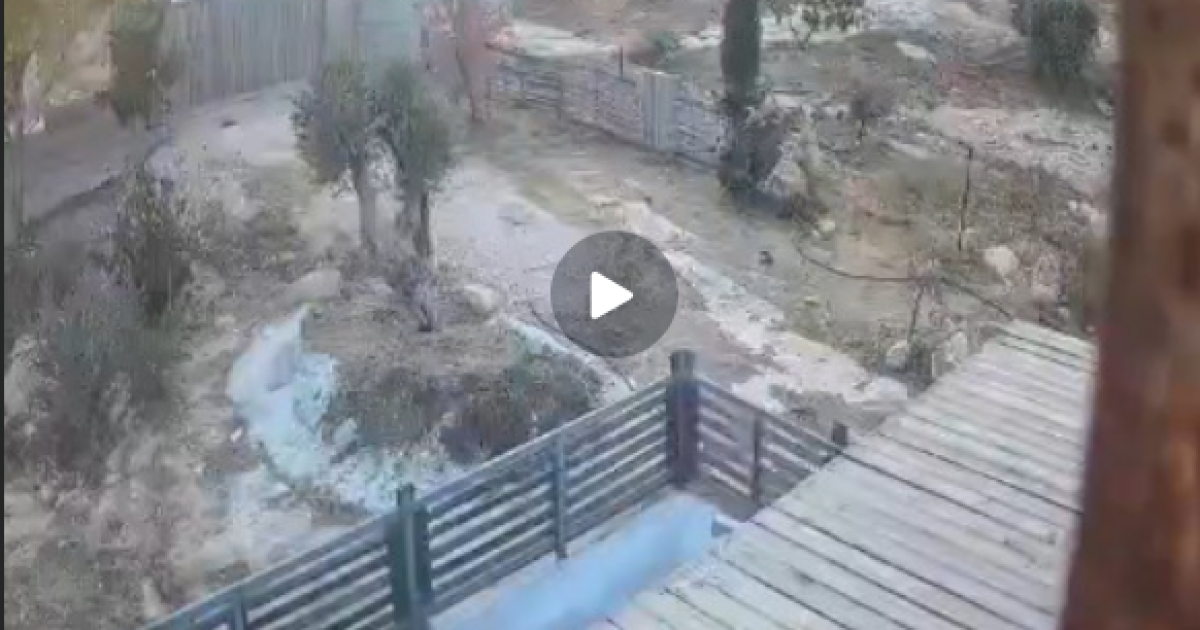 الجيش الإسرائيلي ينفي وقوع هجوم بإطلاق النار قرب سوسيا ويعلن استيلاء فلسطيني على سلاح وإصابة إسرائيلي بالحجارة
