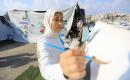الطفلة النازحة سارة سعدة (14 عامًا) تمارس شغفها الفني بالرسم في خيمتها بمدينة غزة،23 ديسمبر/كانون الأول 2025 تصوير: عمر أشتوي