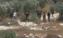 مقتل 4 مواطنين فلسطينيين خلال هجوم مشترك لقوات الاحتلال الإسرائيلي والمستوطنين في نابلس.webp