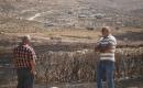 سيارة فلسطينية محترقة بالقرب من قرية سالم، شرق مدينة نابلس بالضفة الغربية، في 27 يوليو/تموز 2026. أفاد سكان محليون أن السيارة أُضرمت فيها النيران خلال هجوم شنه مستوطنون في المنطقة. تصوير: محمد ناصر