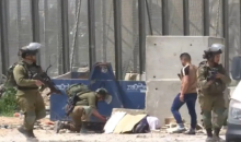 إعدام الفلسطينية غادة سباتين.png