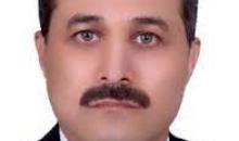محمد الفرماوى.jpg