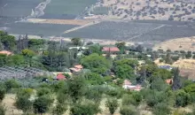 الجولان.webp