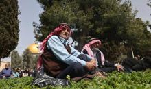 صور متفرقة من المسجد الأقصى .. (الفرنسية) 14.jpg