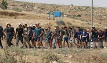 جولات استفزازية لمجموعة من المستوطنين في مسافر يطا جنوب الخليل.jpg