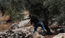 مواجهات بين الشبان وجنود الاحتلال خلال مسيرة بيت دجن الأسبوعية المناهضة للاستيطان