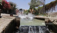 مواطنون يسبحون في نبع عين السلطان قرب اريحا هربا من ارتفاع درجات الحرارة.jpg