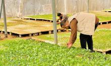 الاغاثة الزراعية.jpg