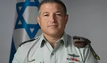 دافيد زيني.webp