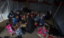 مسنان يعتنيان بـ 36 حفيدًا بعد أن فقدا خمسة من أبنائهما خلال الحرب الإسرائيلية على قطاع غزة (15).jpg