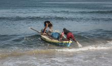 صيادون فلسطينيون نازحون يجمعون صيدهم من الشباك التي جلبوها إلى الشاطئ في دير البلح، في وسط قطا (15).jpg