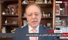 لقطة شاشة/ رئيس لجنة العرب الأميركيين من أجل السلام بشارة بحبح