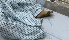 وصل جثمان طفل متوفى إلى مستشفى شهداء الأقصى إثر انفجار جسم مشبوه من مخلفات الاحتلال الإسرائيلي التي خلّفتها الحرب في مخيم النصيرات للاجئين وسط قطاع غزة. ١٨ ديسمبر ٢٠٢٥. تصوير: أحمد إبراهيم