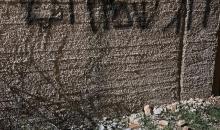 اعتداءات المستوطنين.jpeg