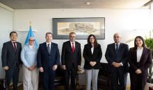 شاهين تبحث مع مدير منظمة الصحة العالمية دعم القطاع الصحي.jfif