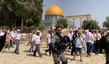 120 مستعمرا يقتحمون المسجد الأقصى بحماية قوات الاحتلال.jpg