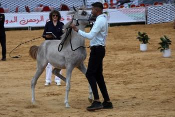 011026_Hebron_MW_00(11)