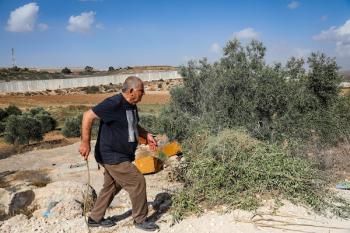 151026_Hebron_MW_00(31)