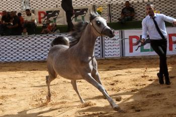 011026_Hebron_MW_00(21)