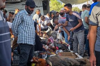 011026_Khan_Yunis_TM_00(7)