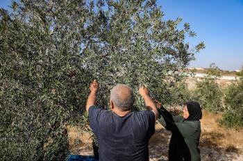 151026_Hebron_MW_00(1)