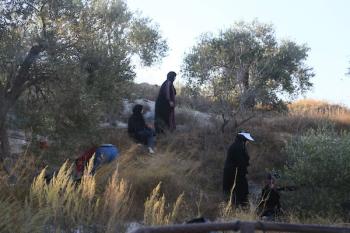171026_Nablus_MN_00(8)