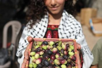 101026_Gaza_BO_00(12)