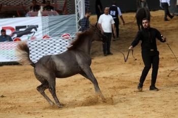 011026_Hebron_MW_00(13)