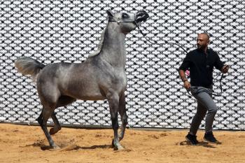 011026_Hebron_MW_00(4)