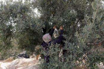 131026_Hebron_MW_00(28)
