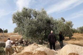 131026_Hebron_MW_00(24)