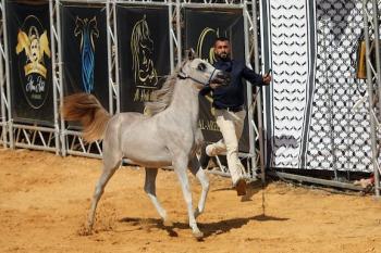 011026_Hebron_MW_00(20)