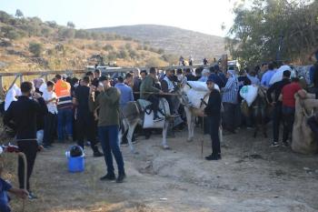 171026_Nablus_MN_00(4)