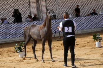011026_Hebron_MW_00(14)