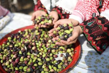 101026_Gaza_BO_00(2)