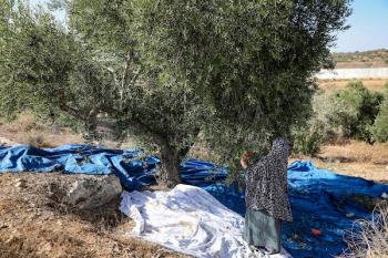 151026_Hebron_MW_00(6)