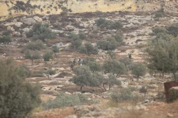 181026_Nablus_MN_00(5)