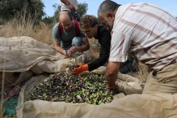 131026_Hebron_MW_00(41)