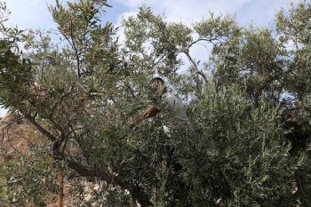 131026_Hebron_MW_00(5)