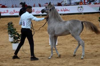 011026_Hebron_MW_00(10)