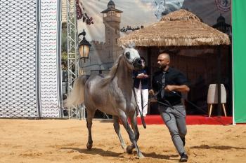 011026_Hebron_MW_00(7)