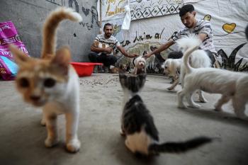 281026_Nuseirat_HJ_00(6)