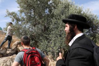 131026_Hebron_MW_00(34)