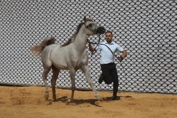 011026_Hebron_MW_00(16)
