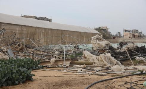 دفيئات مدمرة قرب خان يونس في قطاع غزة..jpg