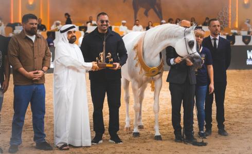 الخيول الفلسطينية تحقق إنجازا رياضيا في بطولة دبي الدولية للجواد العربي 2026.jpg