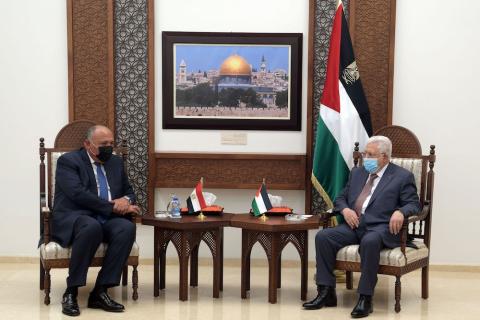 الرئيس يستقبل وزير الخارجية المصري
