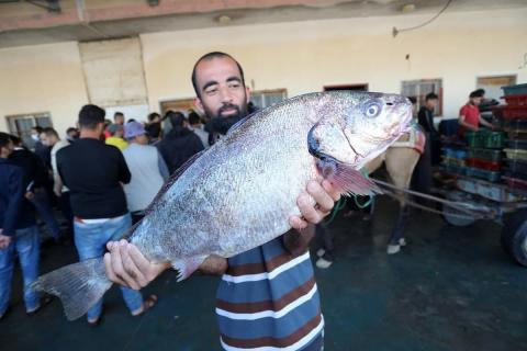 حسبة السمك في غزة بعد استئناف العمل في البحر