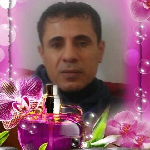 كرم الشبطي